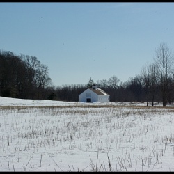 2010 Feb snowshoe