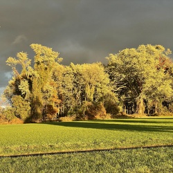 Fall landscape in Colts Neck