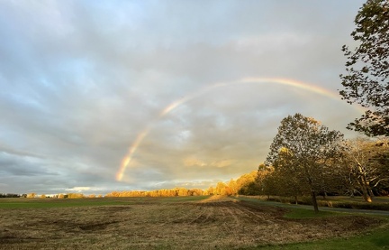 fall landscape with rainbow