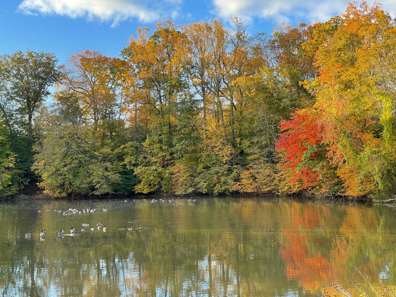 fall colors along the banks of swimming river