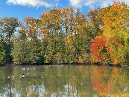 fall colors along the banks of swimming river